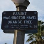 TourdSoCal_1_0510 (September 12, 2015)